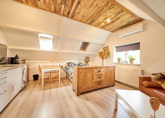 B B Huize Hooijer 4* ביקברחן